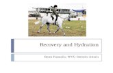 Recovery and Hydration