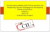 Central  Intermediate Unit # 10 Consortium for Deepening Teacher Pedagogy for Developing Online Consortium  Cohort 1 2012-13 A Multi-Year Project