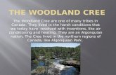 The Woodland Cree