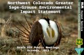 Northwest Colorado Greater Sage-Grouse Environmental Impact Statement