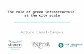 The role of green infrastructure  at the city scale