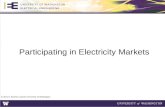 Participating in Electricity  Markets