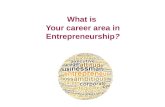 What is  Your career area in Entrepreneurship ?