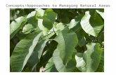 Concepts/Approaches to Managing Natural Areas