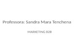 Professora: Sandra Mara  Tenchena