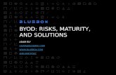 BYOD :  Risks , Maturity, and Solutions