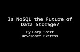 Is  NoSQL  the Future of Data Storage?