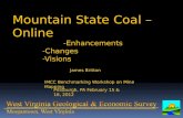 Mountain State Coal – Online -Enhancements  -Changes  -Visions