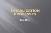 Socialization Processes