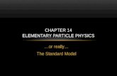 Chapter 14 Elementary Particle Physics