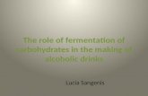 The role of fermentation of carbohydrates in the making of alcoholic drinks