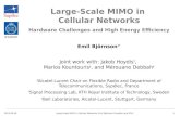 Large-Scale MIMO in  Cellular  Networks