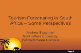 Tourism Forecasting in South Africa – Some Perspectives