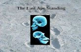 The Last Ape Standing