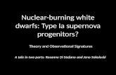 Nuclear-burning white dwarfs: Type  Ia  supernova progenitors?
