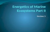 Energetics  of Marine Ecosystems Part II