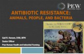 Antibiotic Resistance: Animals, people,  and bacteria