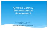 Oneida County Environmental Assessment