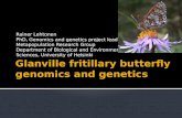 Glanville fritillary butterfly genomics and genetics