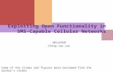 Exploiting Open Functionality in SMS-Capable Cellular Networks