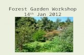 Forest Garden Workshop 14 th  Jan 2012