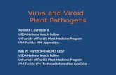 Virus and  Viroid Plant Pathogens