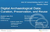Digital Archaeological Data:  Curation, Preservation, and Reuse