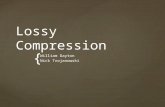 Lossy Compression