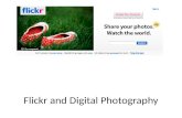 Flickr  and Digital Photography
