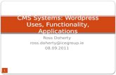 CMS Systems:  Wordpress Uses, Functionality, Applications