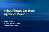 What Photos Do  Stock  Agencies Want?