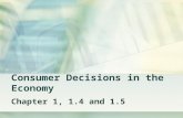 Consumer Decisions in the Economy