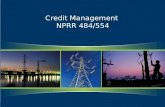Credit Management  NPRR 484/554