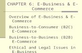 CHAPTER 6: E-Business & E-Commerce