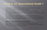 What is an Operational Audit ?