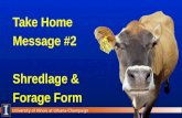Take Home Message #2 Shredlage  & Forage Form