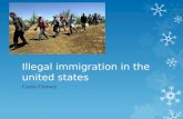 Illegal immigration in the united states