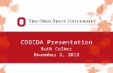 COBIDA Presentation Ruth Colker November 2, 2013