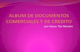 ALBUM DE DOCUMENTOS COMERCIALES Y DE CREDITO