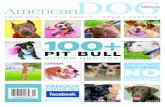 American Dog Media Winter 2012 / 13 Issue