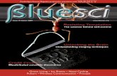 BlueSci Issue 15 - Easter 2009