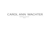 Carol Ann Wachter Fall 2013 Lookbook