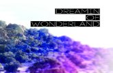 Dreamin of Wonderland