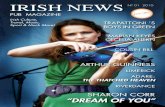 Irish News Pub Magazine N1