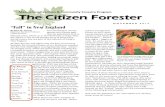 Citizen Forester--November