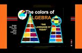 Baby Algebra For Baby And You 2AB