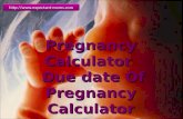 Expectant Moms and Pregnancy Calculator