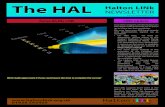 Issue 9 - Halton LINk Newsletter