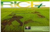 Riceplus magazine september 2013 vol 5 ,issue 8