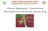 Advisory Press Release Mango Mealy Bug 2011, CISH